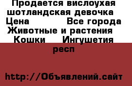 Продается вислоухая шотландская девочка › Цена ­ 8 500 - Все города Животные и растения » Кошки   . Ингушетия респ.
